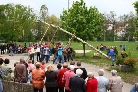 Maibaumaufstellen